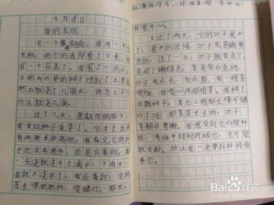 观察与发现的作文200字 观察与发现的作文