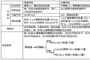 生物八下第一章知识点 人教版高二生物第一章知识点总结