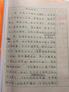 好文章摘抄600字 写景好文章600字