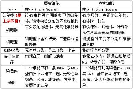 高二生物分子与细胞复习提纲