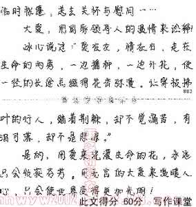 大爱无言作文 高中优秀作文-大爱无言