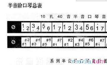 10孔口琴入门教程视频 10孔口琴教学