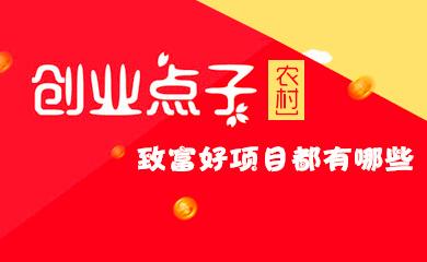 小创业点子推荐 创业点子推荐