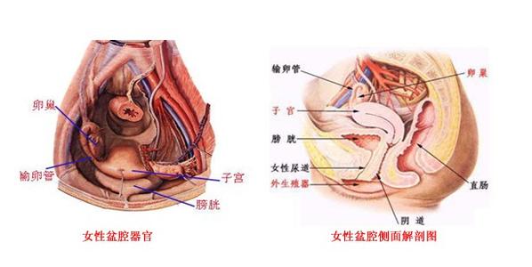 盆腔炎的最佳治疗方法 盆腔炎严重吗 盆腔炎可以治吗 盆腔炎的最佳治疗方法