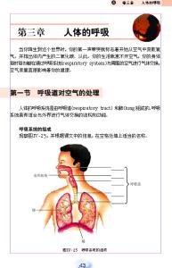 初一下册生物期中试题 初一下册生物《呼吸道对空气的处理》测试试题