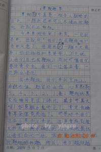 春天的美景作文500字 春天的美景初二作文500字4篇