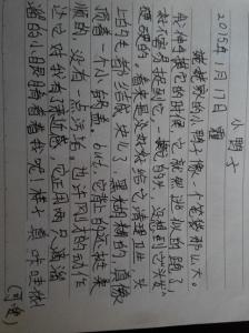 三年级作文柳树 小学三年级作文柳树300字8篇