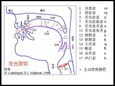 自由泳的动作要领口诀 发声要领口诀学唱歌必备 如何科学发声