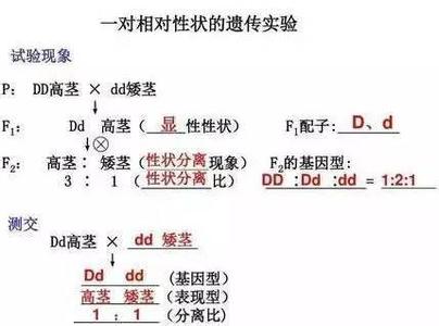 2017两会热点整理 2017年高考生物热点知识整理