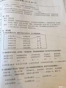 三年级上学期期末试卷 6年级语文上学期期末试卷