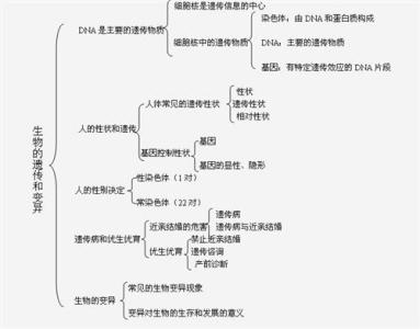 高中生物知识点归纳 高中生物呆小症知识点归纳