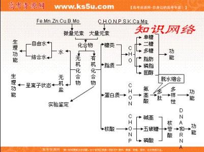 高二生物知识点总结 高二生物细胞环境知识点总结