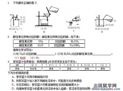 初中化学常见的酸和碱 中考化学 常见的酸和碱