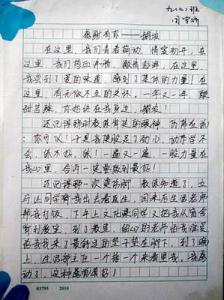 难忘的小学生活散文 我的小学生活作文散文