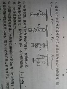 初二物理下册期末简单的机械的复习知识点总结