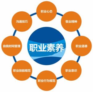 it职业素养 浅谈IT职业素养和专业素养的内容