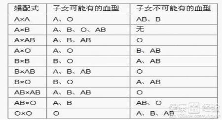 o型血与b型血生的孩子 b型血和o型血生的孩子是否健康