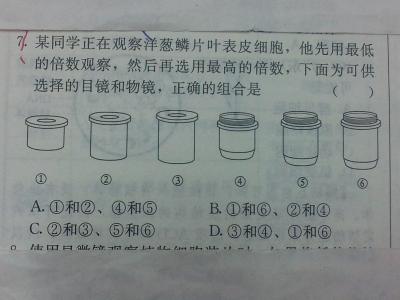 高二生物怎样学 学习高二生物的方法