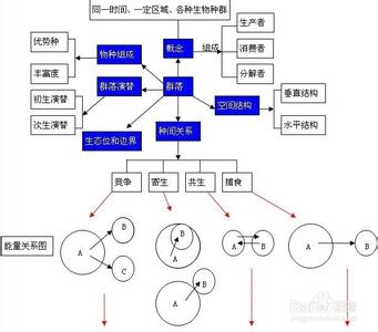 高中生物的学习经验与方法