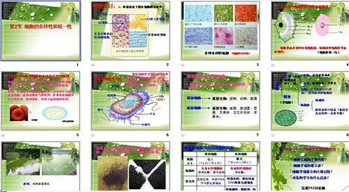 2017高一政治必修二 2017年高一生物必修2《进化与生物多样性》测试试题