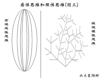 理性思维感性思维测试 感性思维与理性思维关系