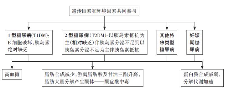 糖尿病病因和发病机制 糖尿病的初期表现与病因