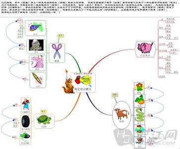 思维导图帮助记忆 如何用思维导图帮助记忆