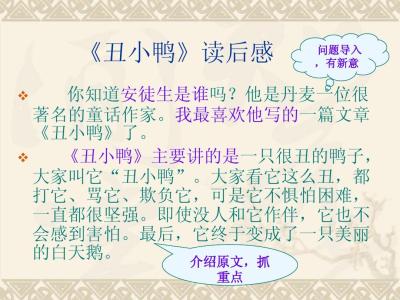 我与书的故事500个字 五年级作文我和书的故事500字