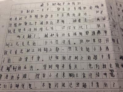 冬天的故事作文600字 冬天里的故事600字作文_以冬天里的故事为题的作文600字