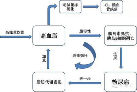 高血脂和血脂高的区别 血脂高是怎么形成的 高血脂诊断和治疗