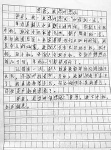 爸爸的作文100字 爸爸的作文