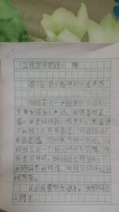 小学生作文诚信 有关诚信的小学生作文4篇