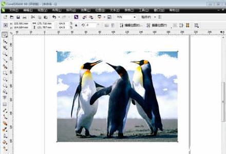 coreldraw 遮罩 coreldraw如何使用颜色遮罩