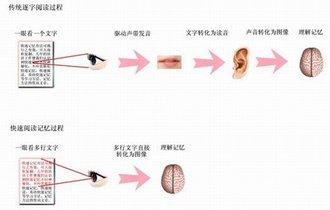 快速阅读的方法 快速阅读的主要方法是什么