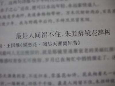 关于哲理的句子摘抄 关于书的哲理的句子摘抄