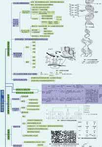 高中二年级生物的学习方法