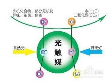 专业去甲醛公司有用吗 专业去甲醛的方法