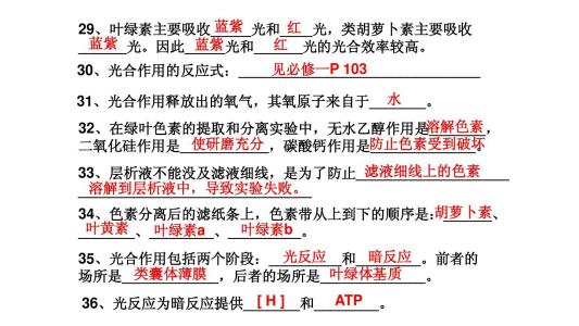 高中政治会考复习资料：商品服务市场