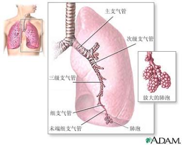 身体排毒最有效的方法 最简单有效的排毒方法