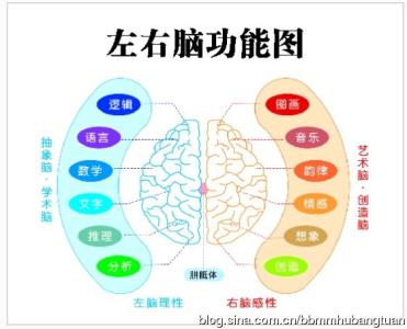 北京孩子左右脑开发 开发孩子右脑的锦囊妙计