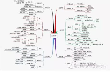 七下生物思维导图ppt 7年级下册生物思维导图