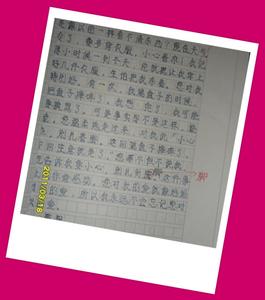 致姥姥的一封信 致姥姥的一封信600字