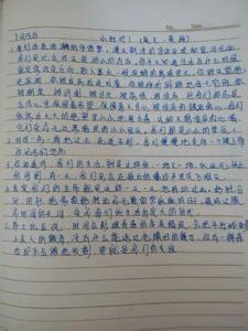 美文摘抄200-300字80篇 300字励志美文摘抄10篇