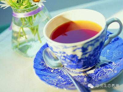 夏季养生茶 夏季养生茶怎么做