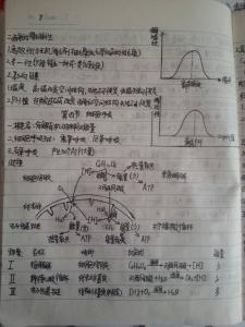 高一生物必修一笔记 高一生物必修一笔记总结