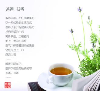 关于健康养生简短语录 关于茶的简短优美语录