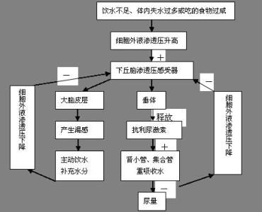 高一生物知识点总结 高一生物核酸知识点总结