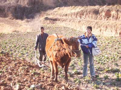 土地证在哪里办理 农民耕地有土地证吗？农民耕地土地证在哪里办理