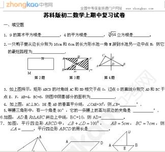 苏科物理八下期中试卷 初二生物上学期期中试卷苏科版