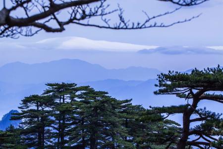 日照导游词范文3篇 黄山松导游词范文3篇